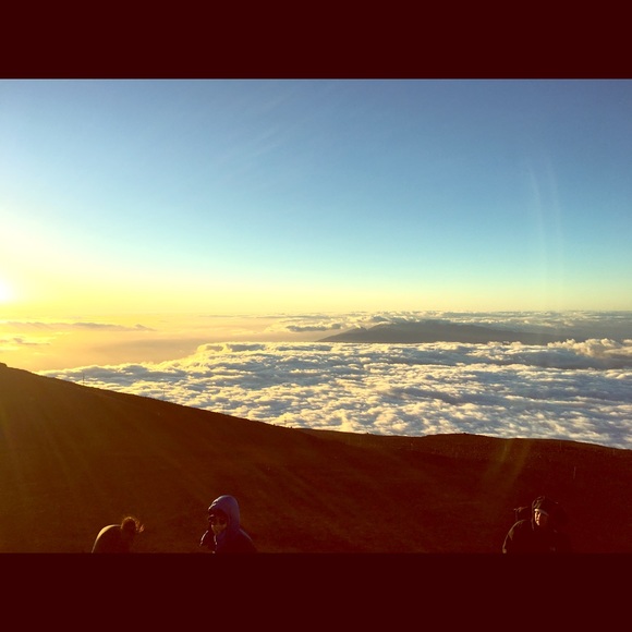 Meet your Posher, Rona - Picture 2 of 2